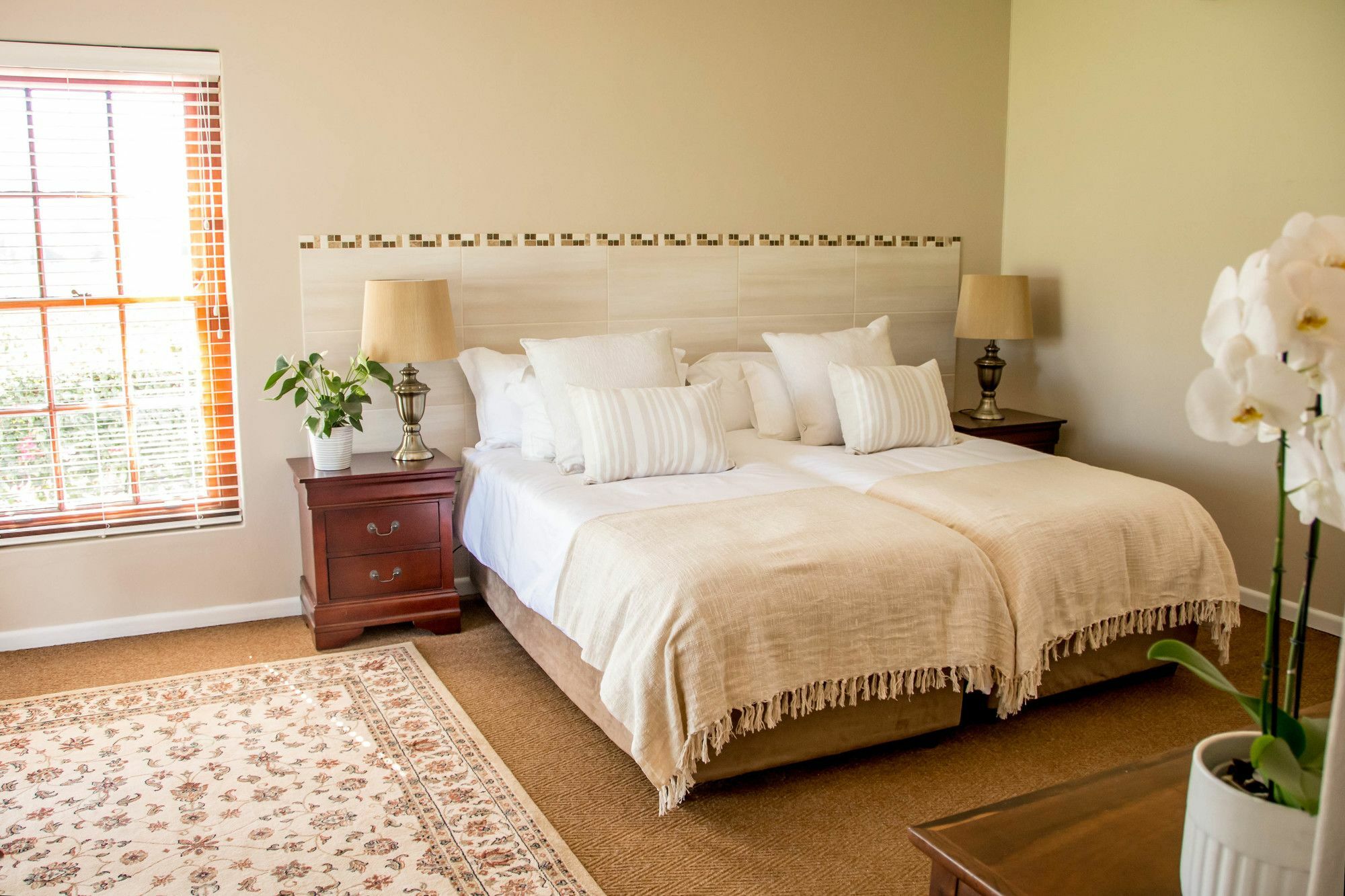 Goedemoed Farm Guest House Paarl Esterno foto